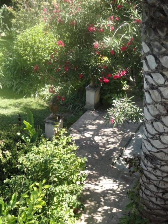 مبيت وإفطار سالس-ليه-شاتو Casa Montes المظهر الخارجي الصورة